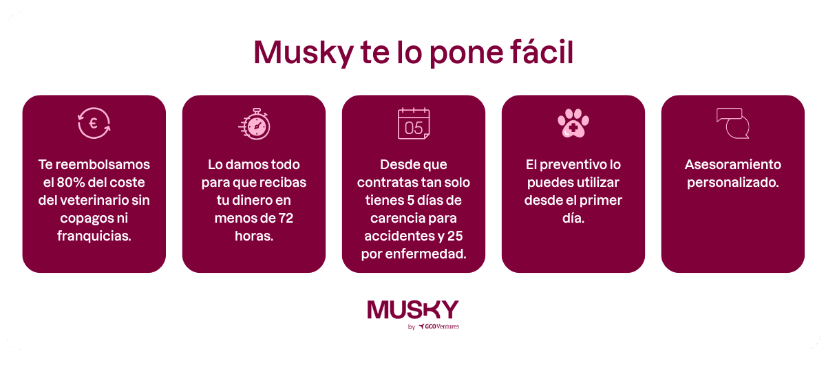 Resumen visual de beneficios del seguro de salud para mascotas Musky: reembolso del 80%, rapidez en pagos, carencias mínimas, cobertura preventiva desde el primer día y asesoramiento personalizado