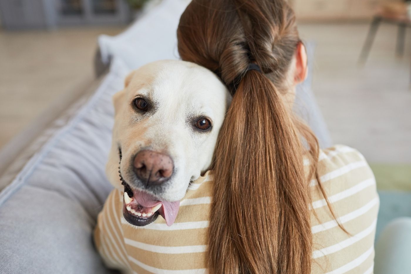 Abrazo entre perro y su tutora