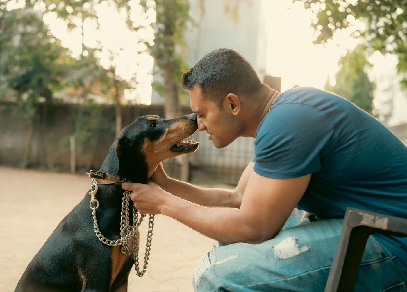 La bronquitis canina puede presentarse como un episodio puntual o convertirse en un problema crónico