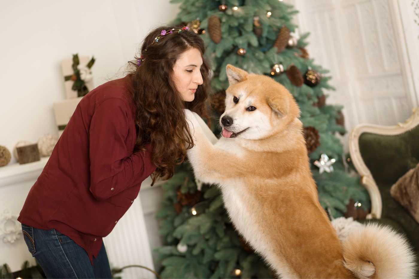 Mejores regalos para amantes de los perros en Navidad Mejores regalos para amantes de los perros en Navidad