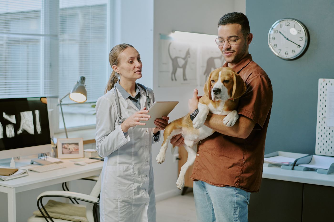 Hombre con su perro en consulta veterinaria revisando opciones de seguro para mascotas Hombre con su perro en consulta veterinaria revisando opciones de seguro para mascotas