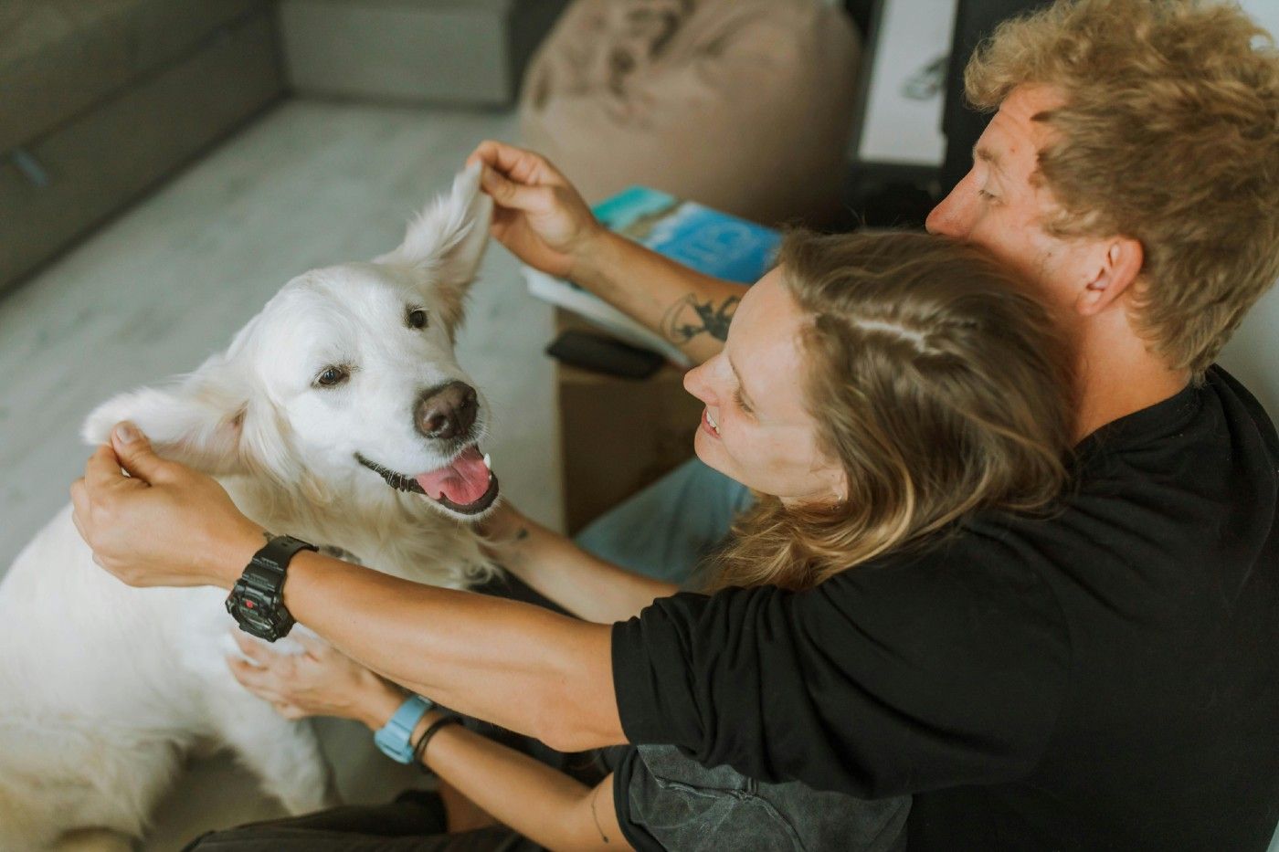 Cada vez más personas consideran a sus mascotas parte de la familia y buscan integrarlas en su día a día Cada vez más personas consideran a sus mascotas parte de la familia y buscan integrarlas en su día a día