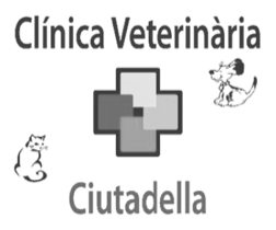 Ciutadella