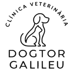 Dogtor Galileu